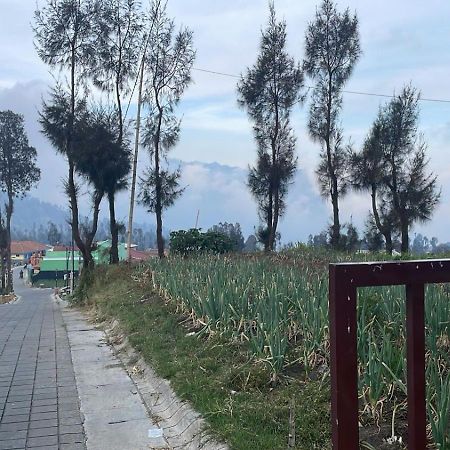 Bromo Semesta Guesthouse Probolinggo Dış mekan fotoğraf